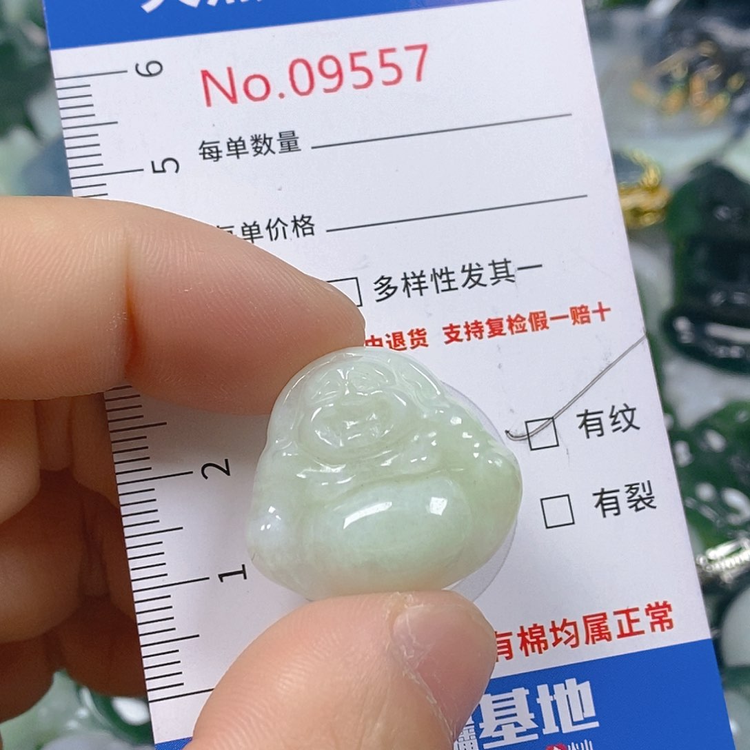 翡翠颈饰未镶嵌天然翡翠 