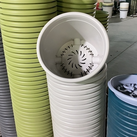 树脂四季灰白5号无托5个