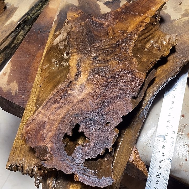 金丝楠木小叶桢楠木