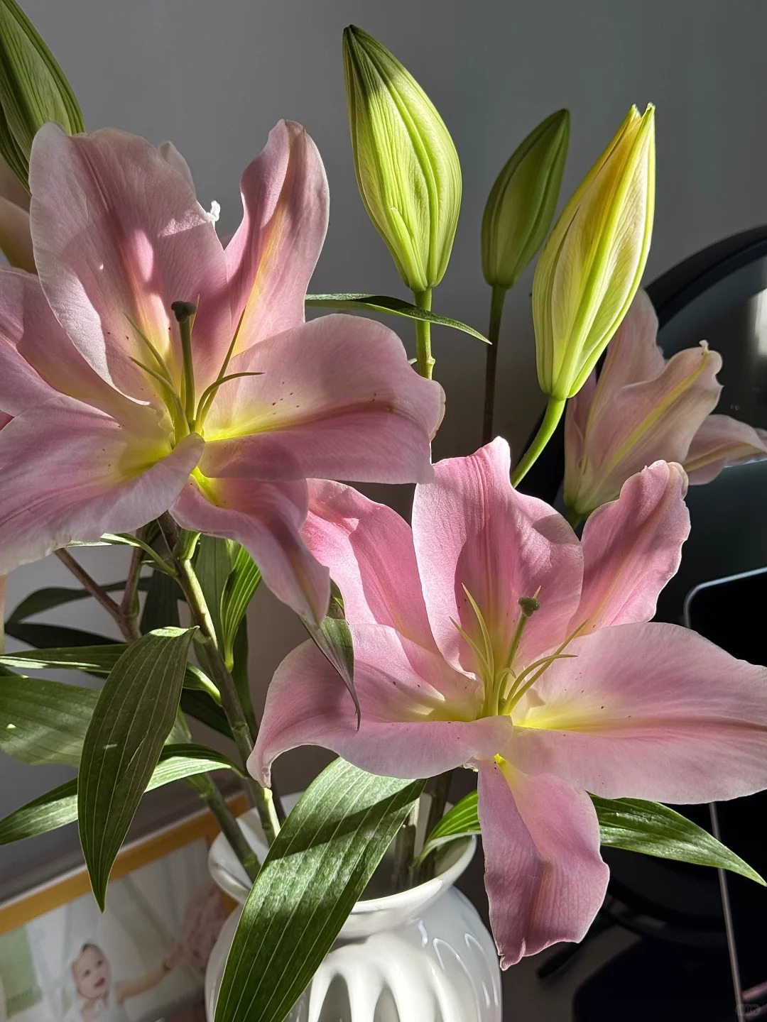 【源头优选】粉公主香水百合 任意2单鲜花包邮 发货后不支持退款