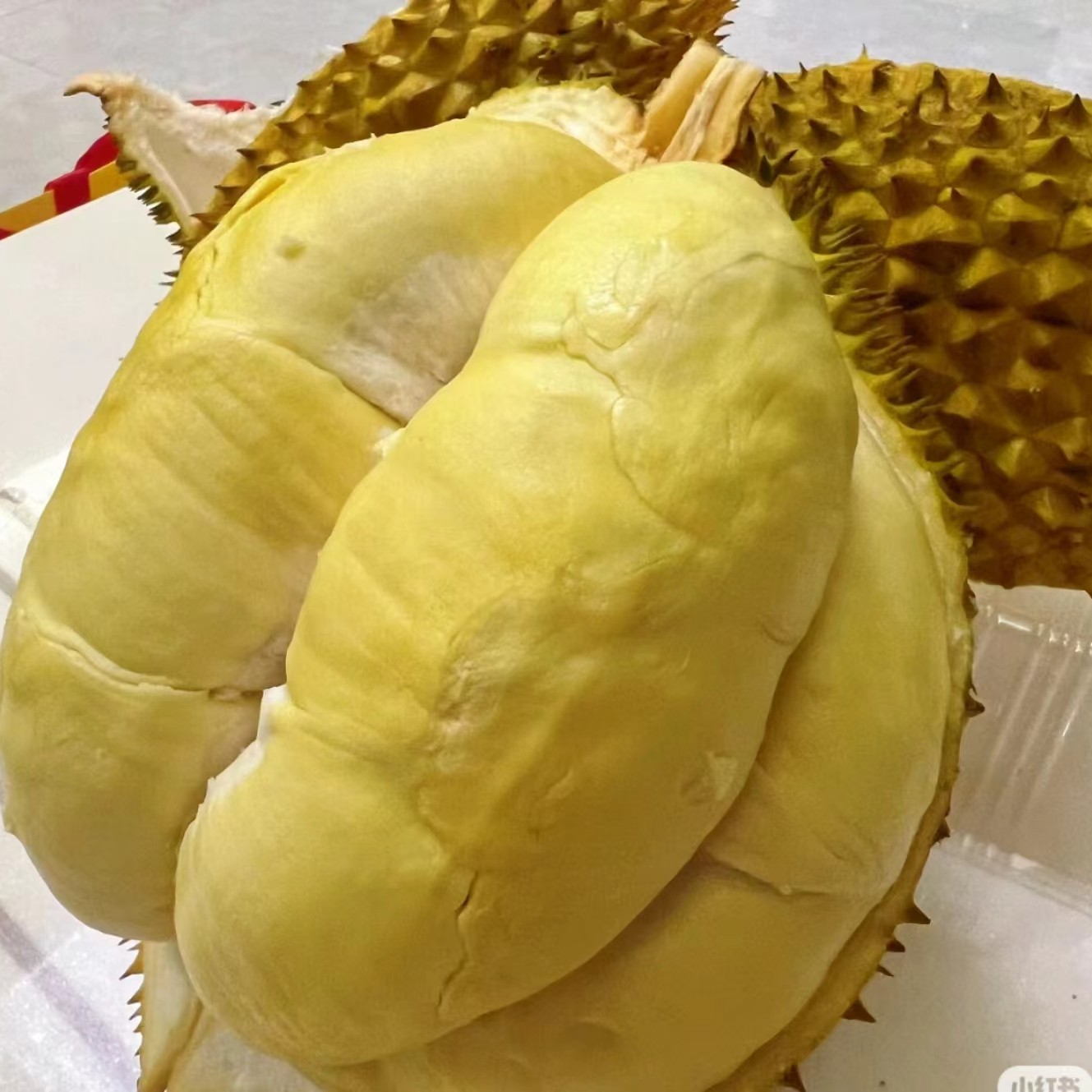 果切【净肉1.5斤】陆运大嘴鸟新鲜金枕榴莲核小750g