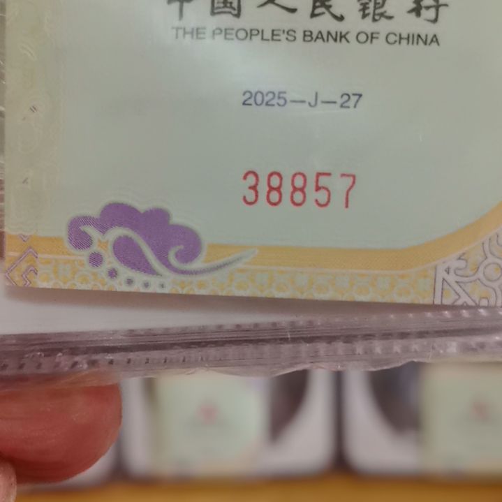 其他普通金属2025年封装龙银币