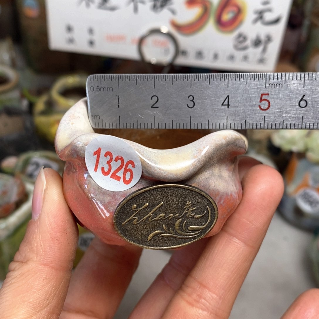 花盆拍5送一个小礼物