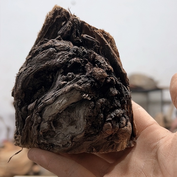 柏木墩*我们的生活是以