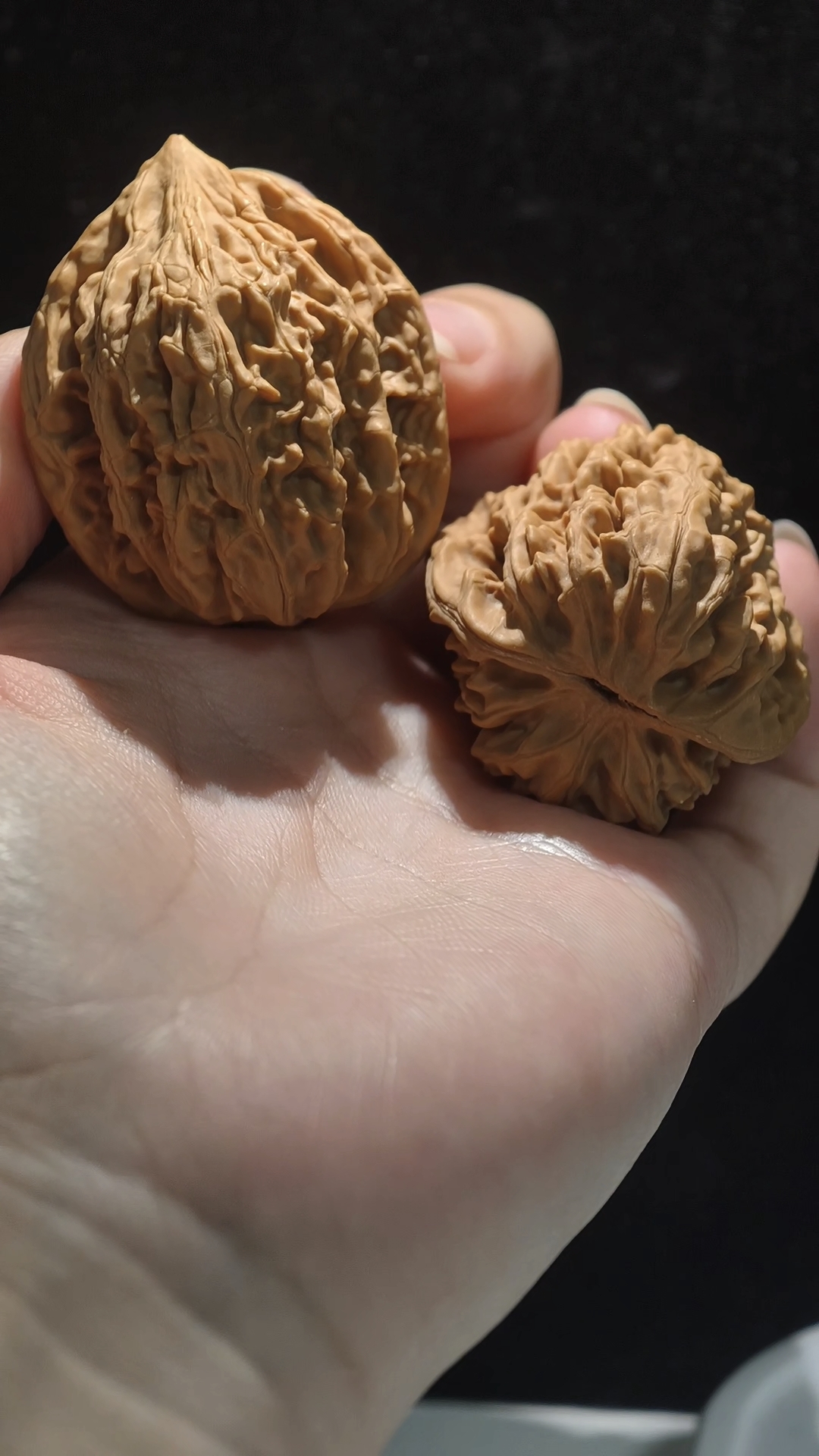 福袋随机发文玩核桃一对（图片仅供参考）