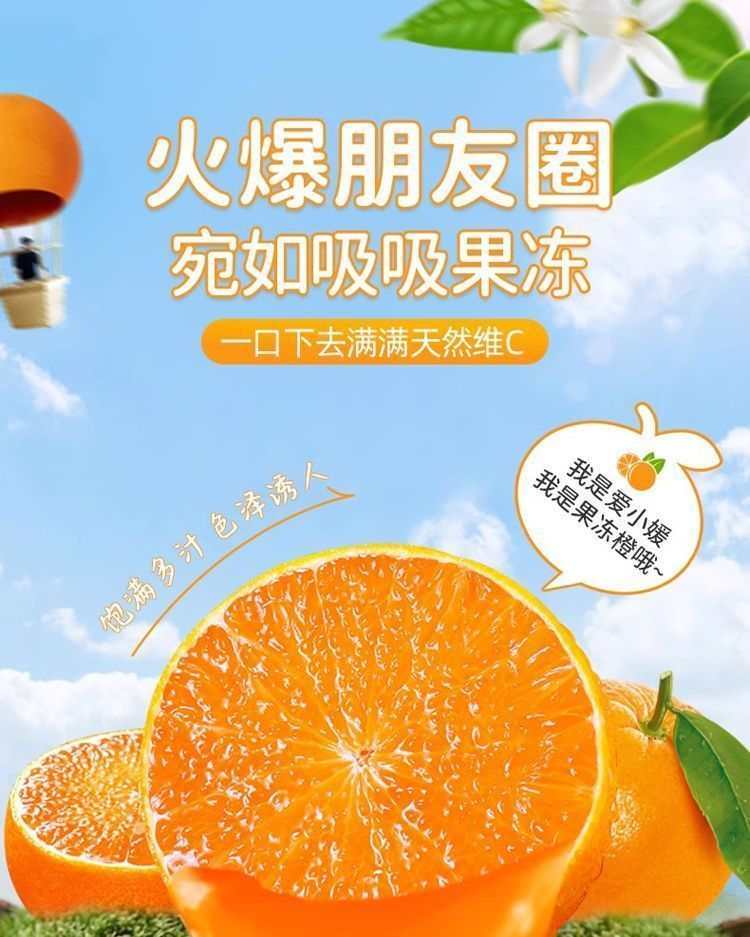 四川爱媛38号果冻橙新鲜现摘爆甜多汁无籽无渣手剥橙子