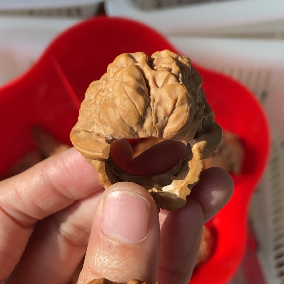 桃核吊坠金蟾戒指素圈