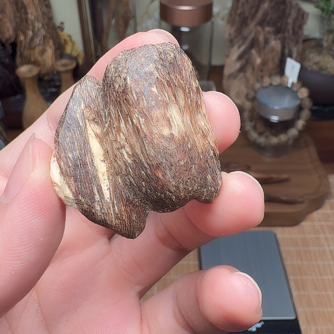 沉香香港大屿山棋韵瓜子