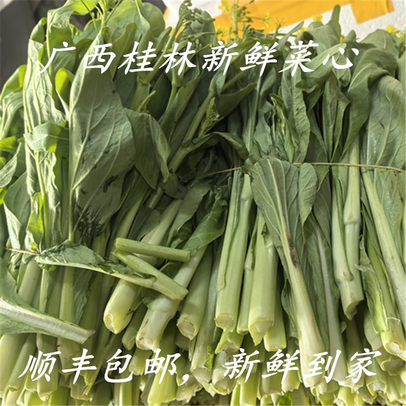 第三代脆蜜金桔水果青菜心