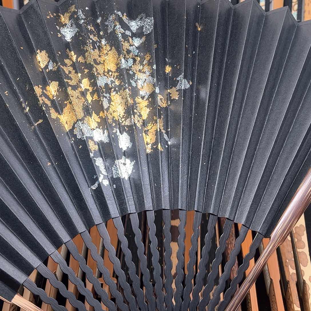 扇子爆炸金龙鳞棕竹