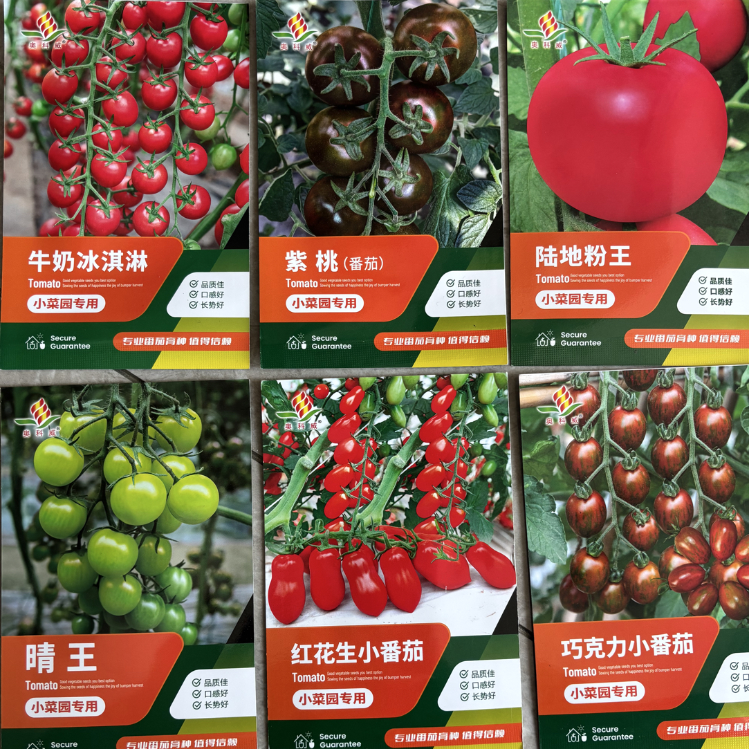 番茄种子圣女果多彩瀑布小西红柿千禧籽春季阳台农家蔬菜种子四季
