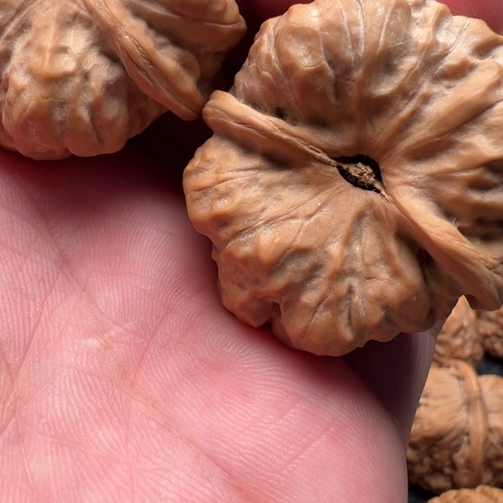 远***啊文玩核桃文玩核桃