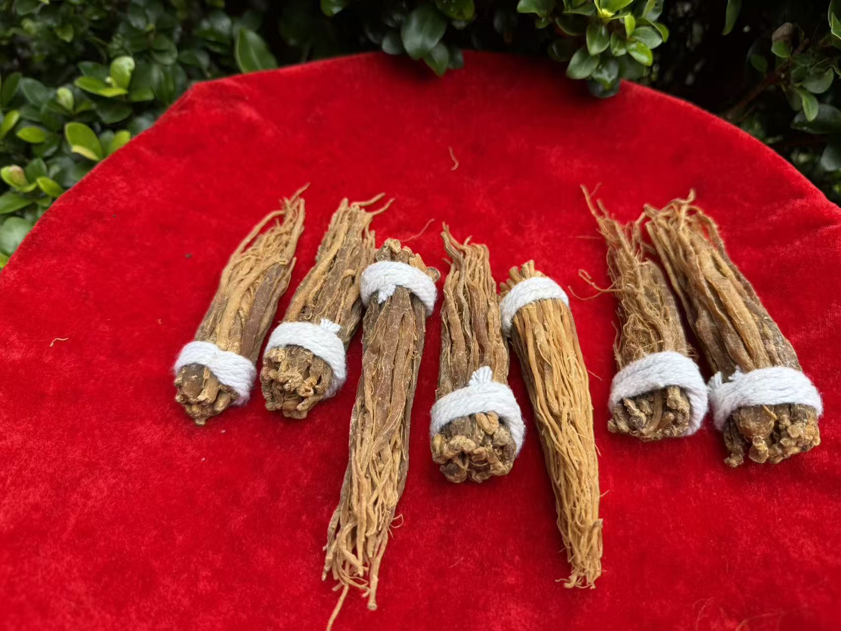 1【红-须-参】净含量：250g-1000g【阿徐现收】