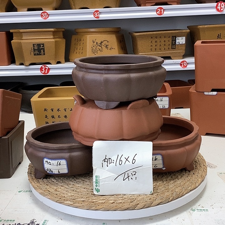 紫砂花盆今天下午