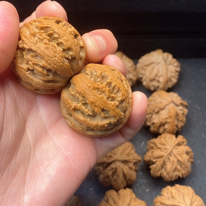 我是一只小小鸟的小