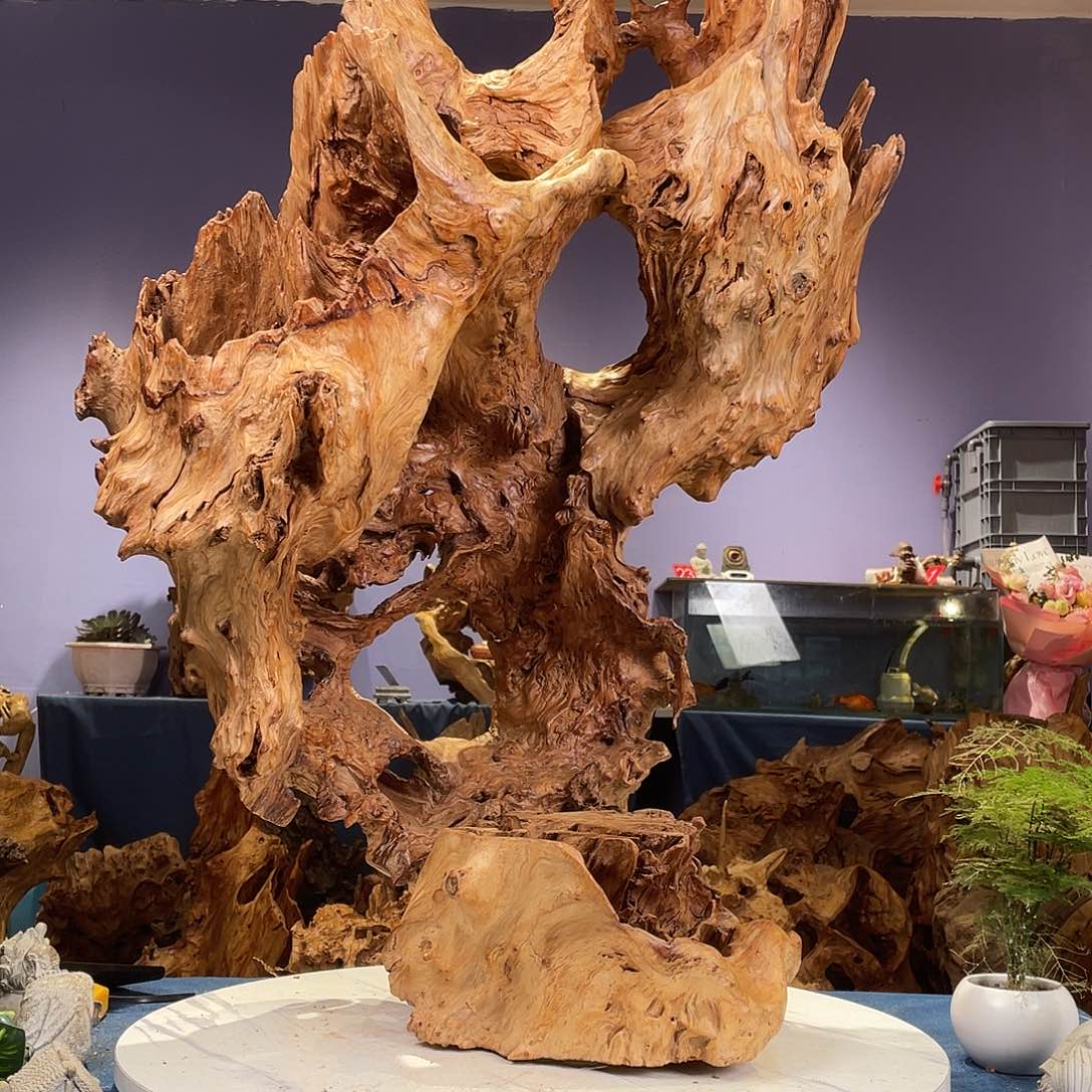 香榧木提***王13345566665