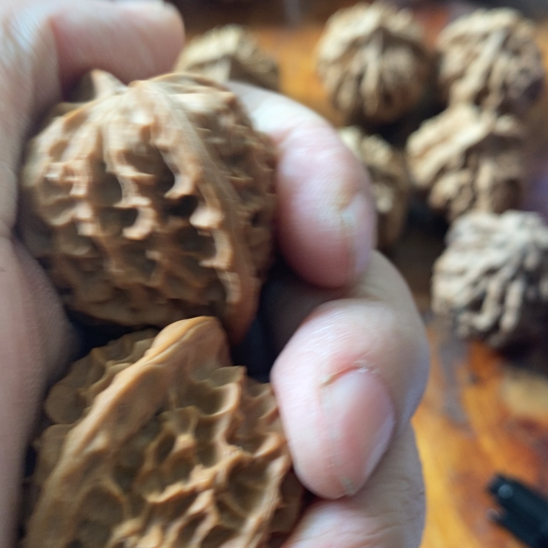 米*秦岭山脉东面临渤海