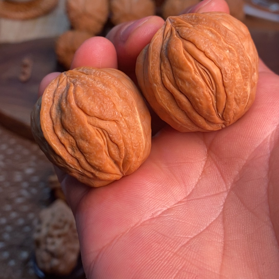 文玩核桃把件生命之源