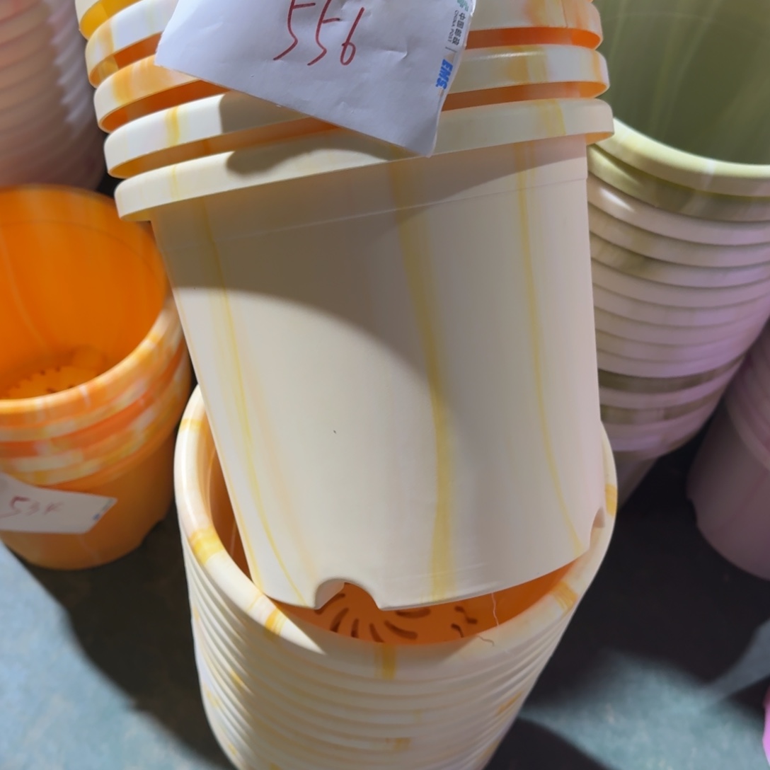 编号556-5个口径29串色