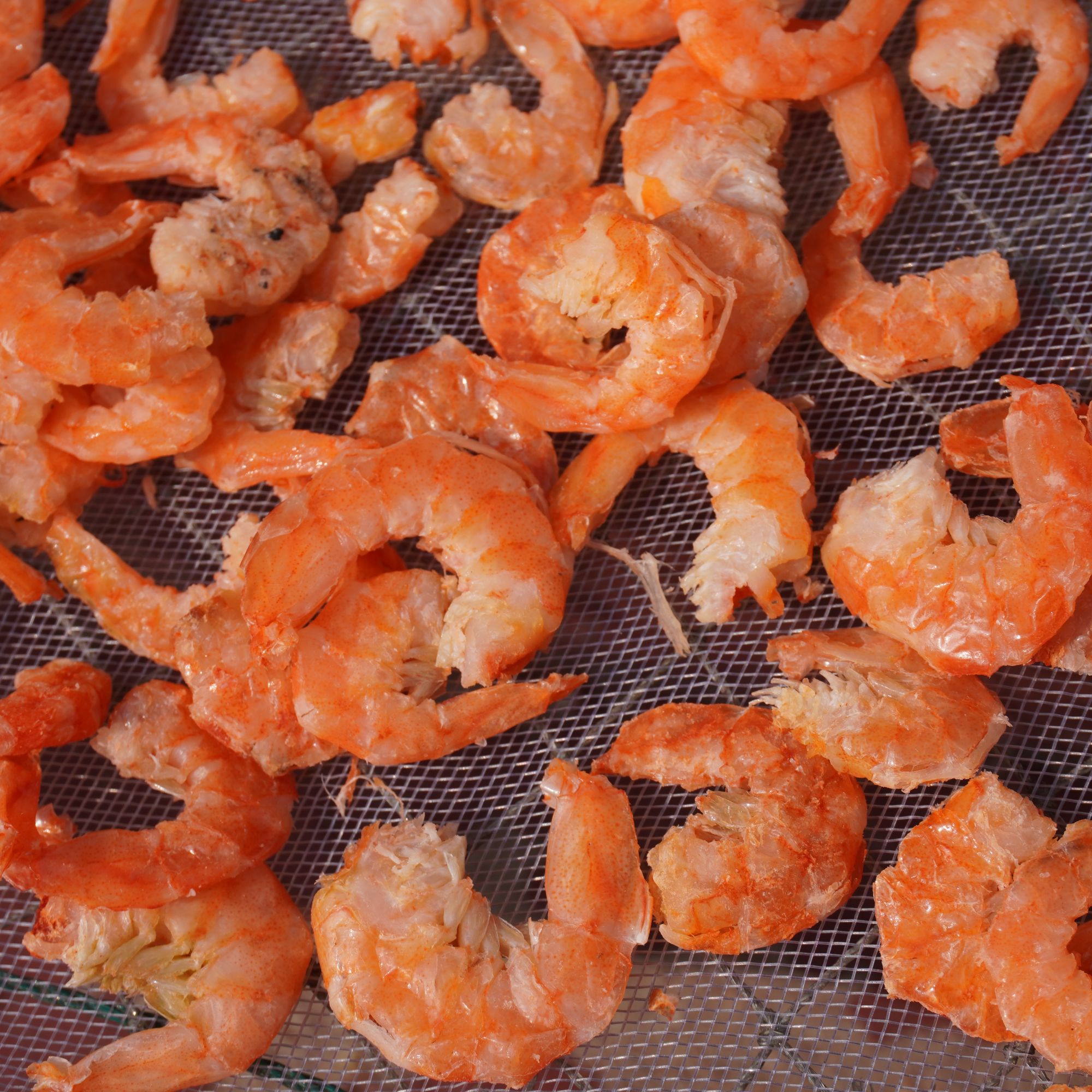 虾米海米虾干海米虾仁干货虾米虾皮淡晒海鲜500g金钩虾米