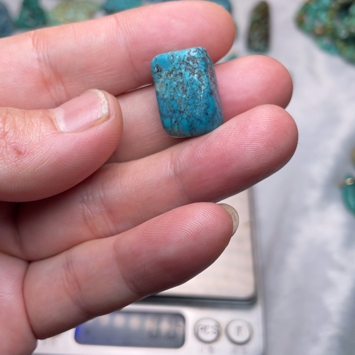 绿松石未镶嵌颈饰