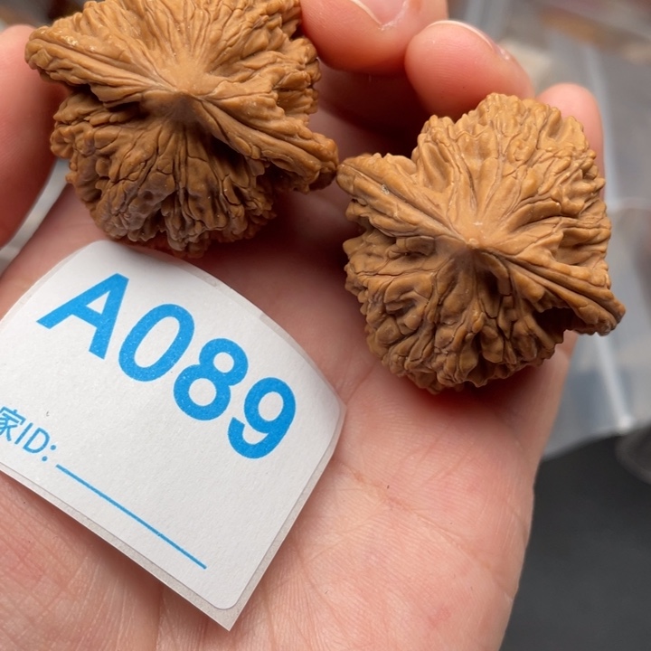 文玩核桃吊坠核桃