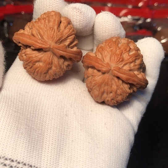 没***键把件文玩核桃白狮子36