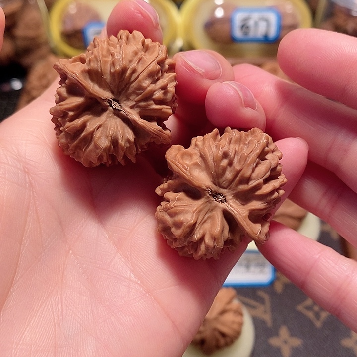 核桃手串/手链34尺寸骨赛龙