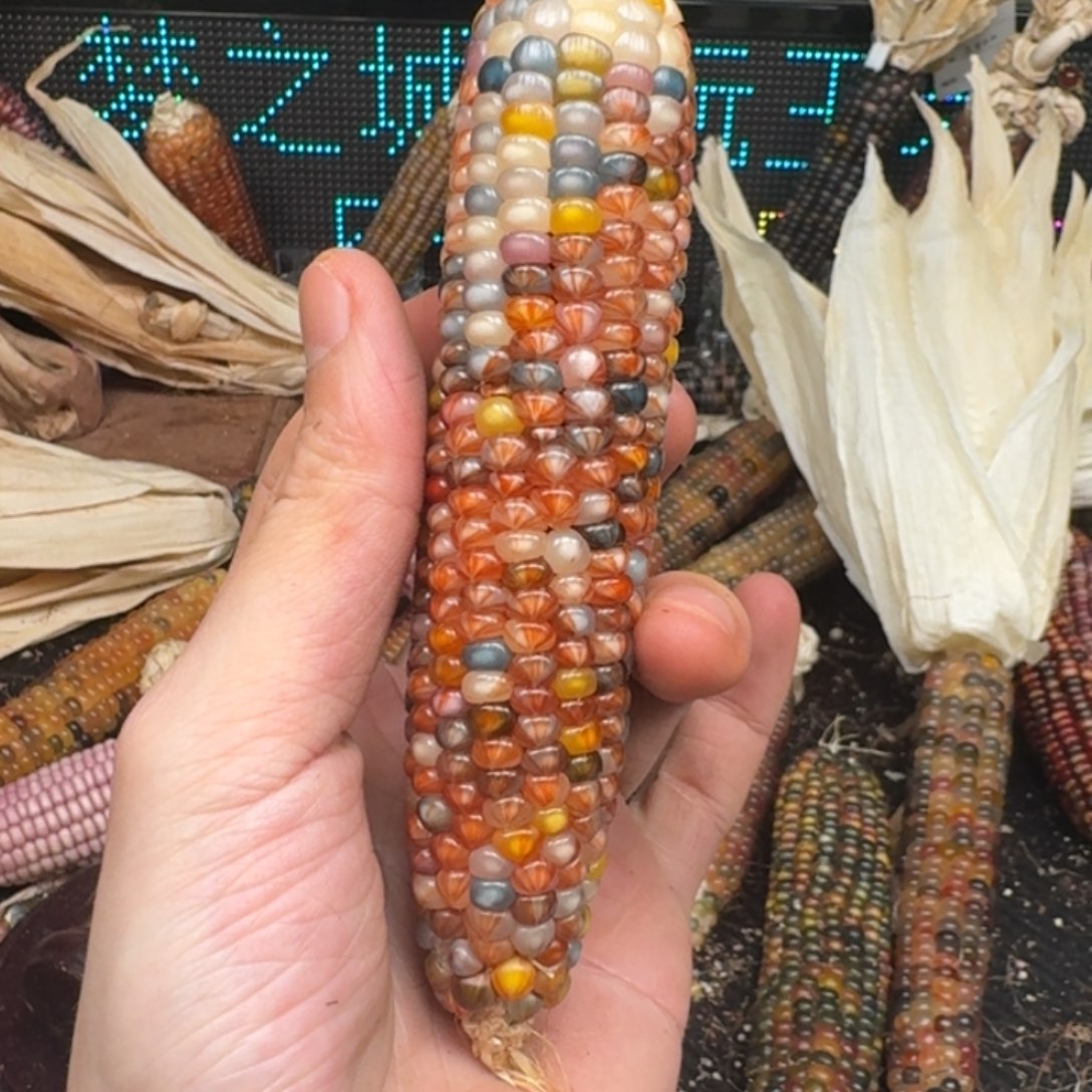 柏香籽/百香籽吊坠?***?