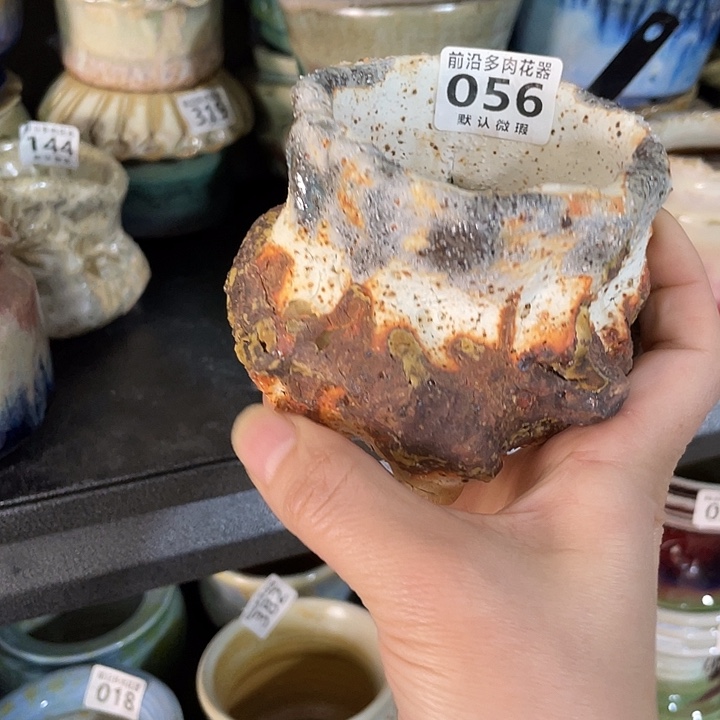 狼盆内口径7高度8