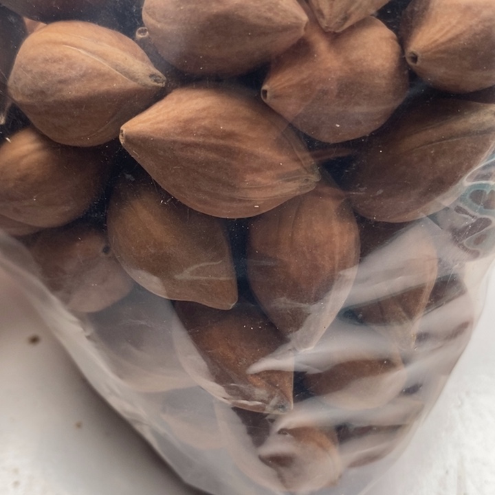 手串/手链橄榄核橄榄核雕