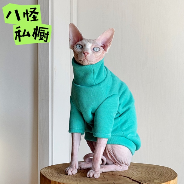 手工制作无毛猫德文猫冬季亲肤透气加绒加厚湖蓝色高领衫