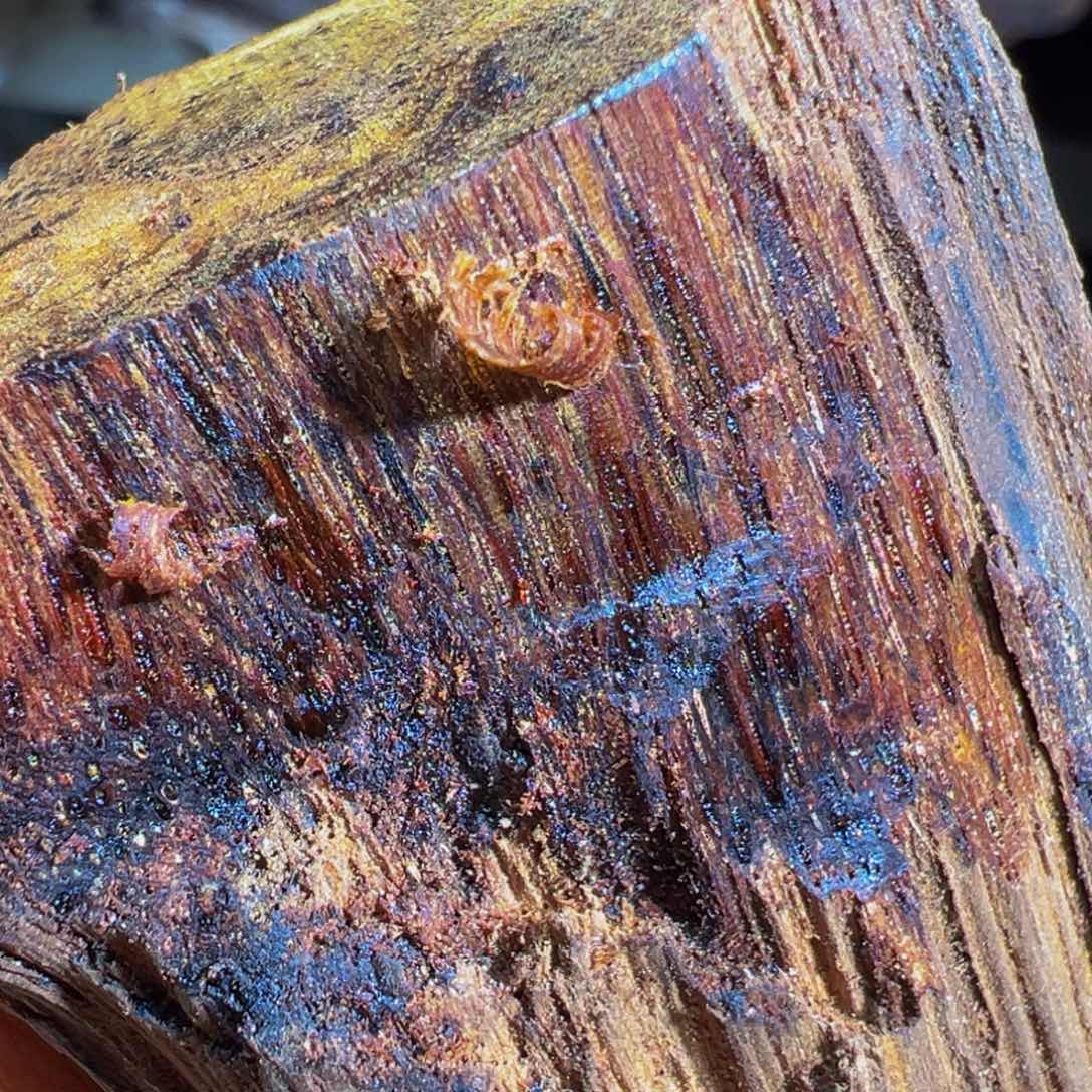 降真香手串/手链山****6直发