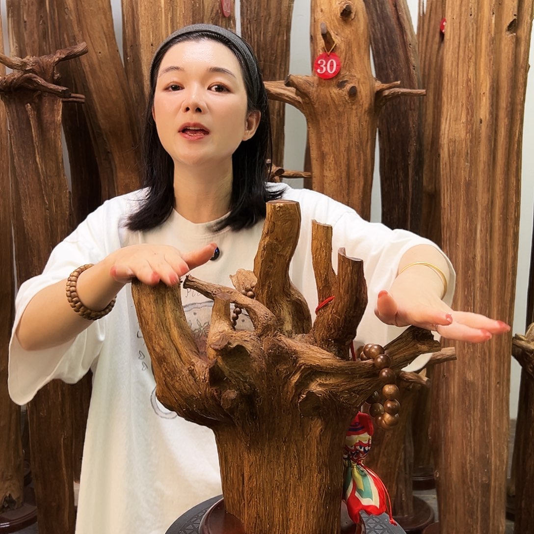 摆件沉香天然沉香原料香料