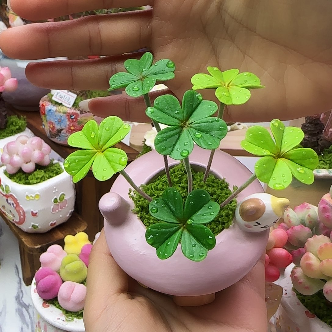 -***-专拍，不退不换！！！