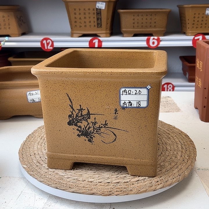 紫砂花盆蛇年大吉