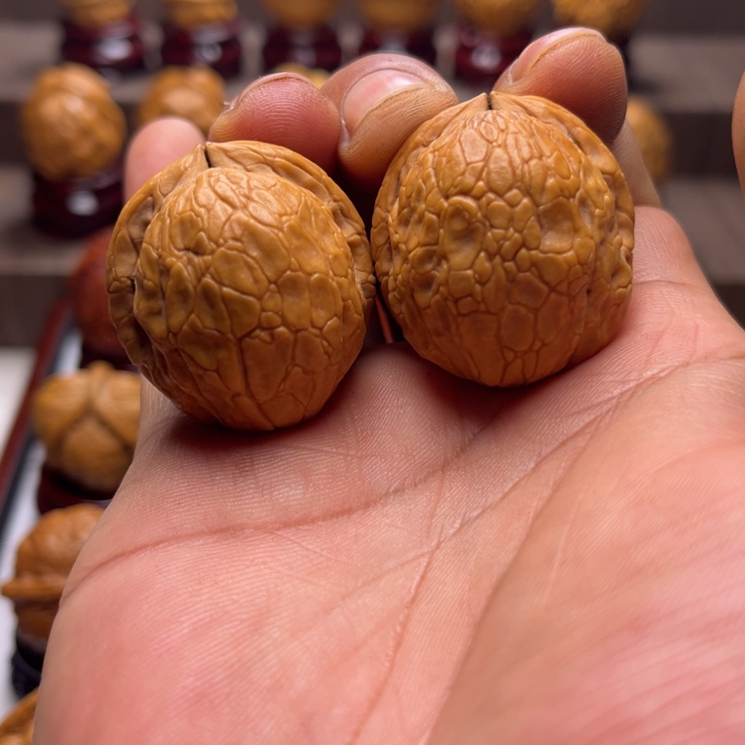 文玩核桃把件金龟玉甲10¥