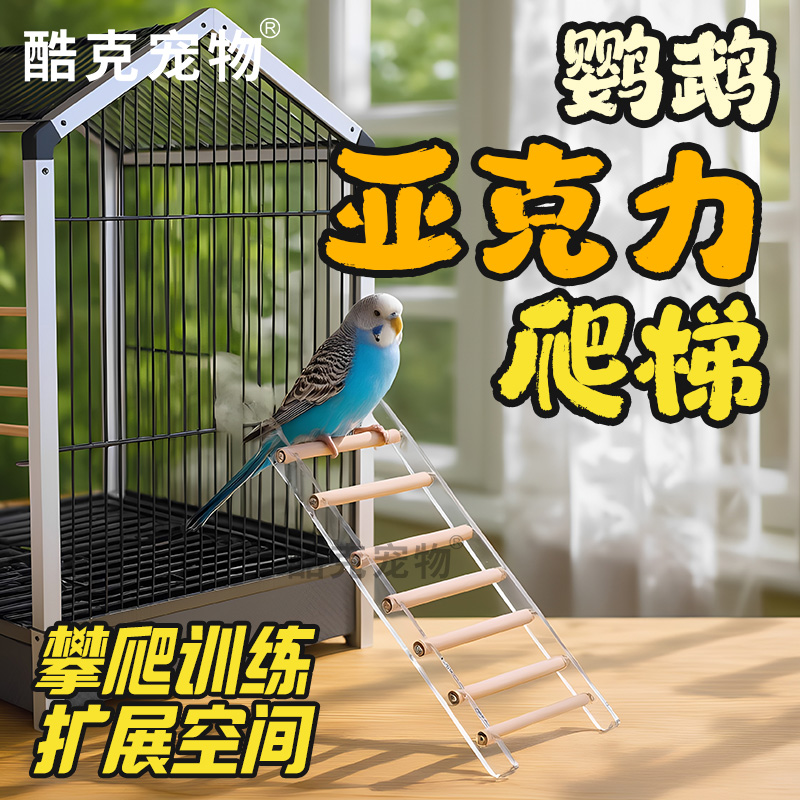 鹦鹉创意攀爬梯子亚克力实木原木云梯玄凤虎皮牡丹专用鸟玩具用品