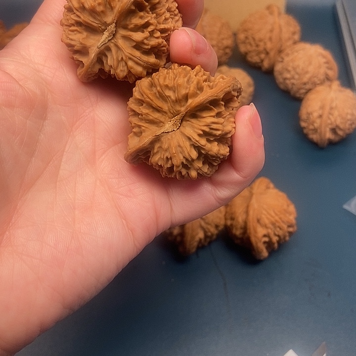 或***许大大大大大漫天星，尖黄