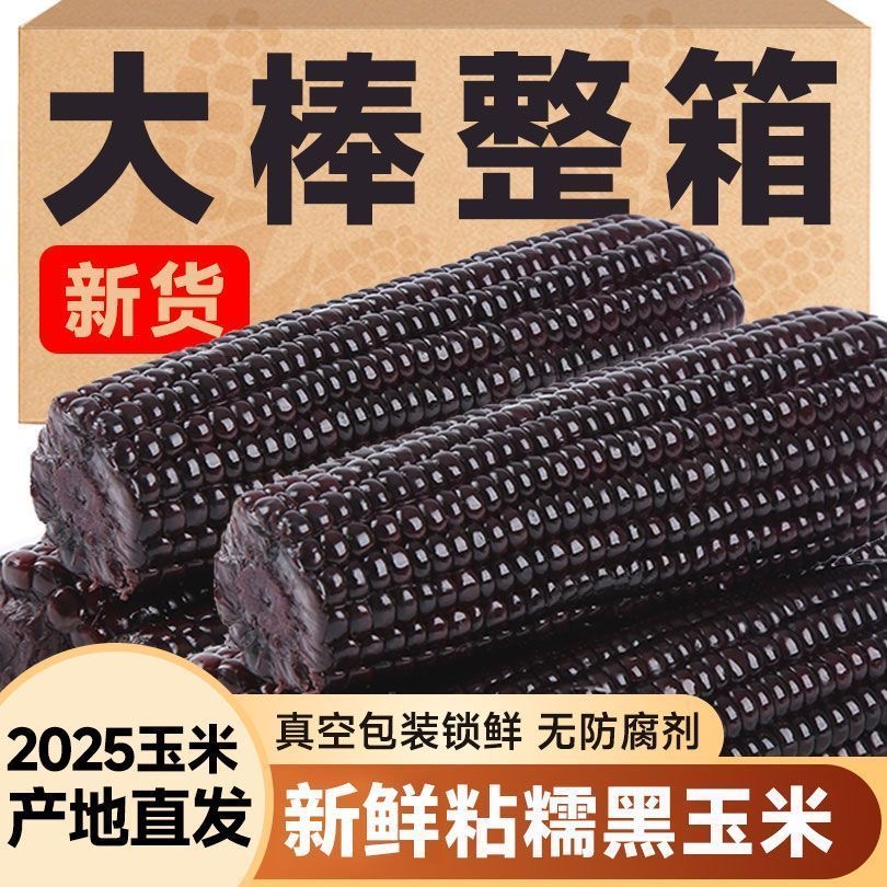 【精品大棒】新黑玉米8支甜糯玉米山西低脂早餐糯玉米香甜真空包装