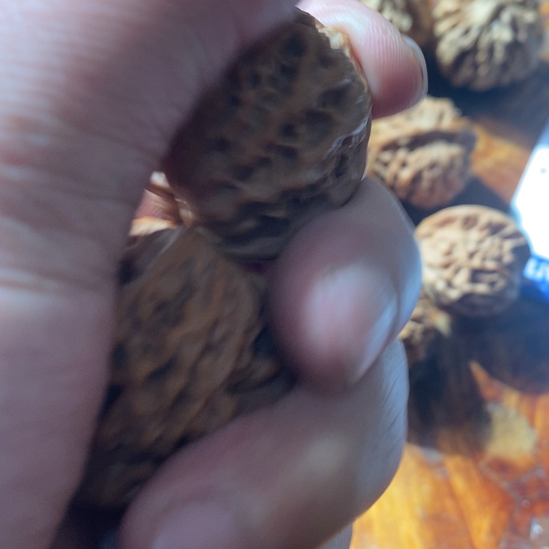 9*1秦岭南侧与黄河北岸之间