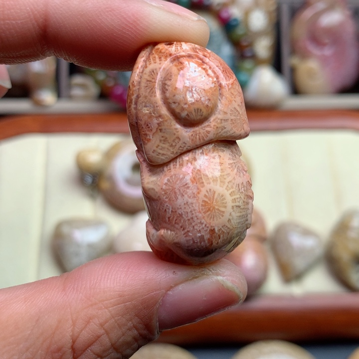 硅化珊瑚（珊瑚玉）颈饰未镶嵌