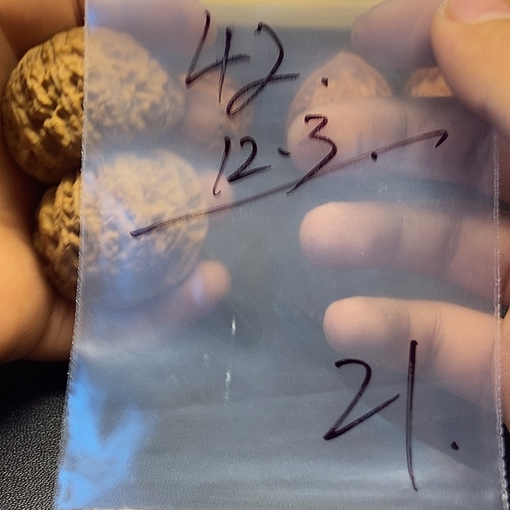平***平核桃二十一号文玩核桃