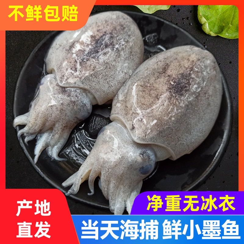 【6-8两/斤】4斤 新鲜速冻大墨鱼 舟山东海天然野生鲜嫩大目鱼 乌贼