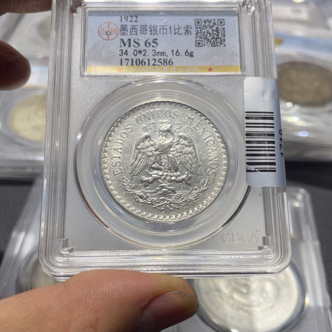 银小*猪6666666666666666666