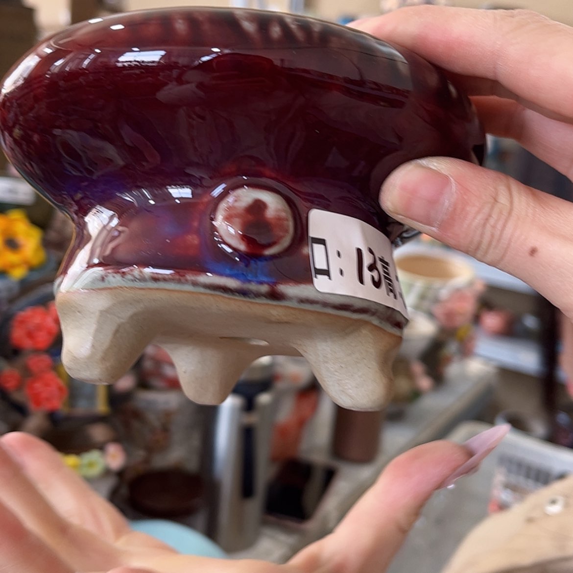 【闪购商品】红陶福利