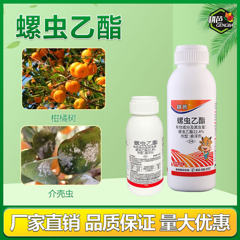 耕芭螺虫乙酯蓟马蚧壳虫蚜虫梨木虱花卉园林杀虫剂介壳虫药剂农药