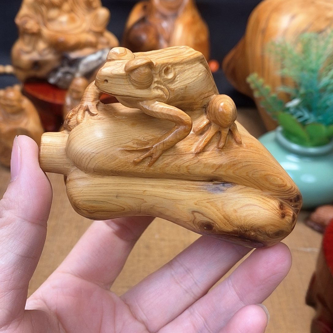 柏木（崖柏）一物一图