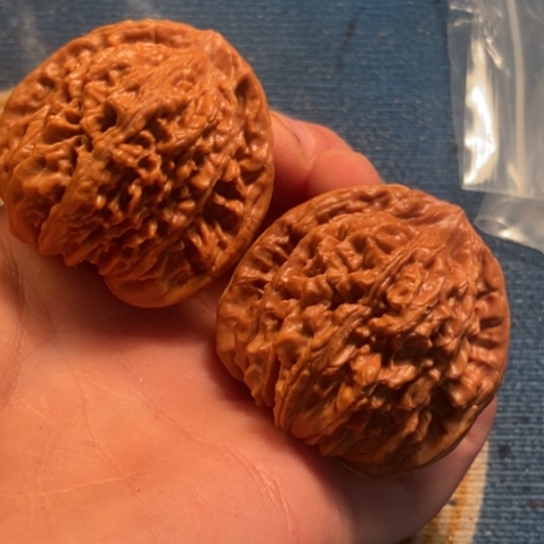 吊坠桃核全品楼王45