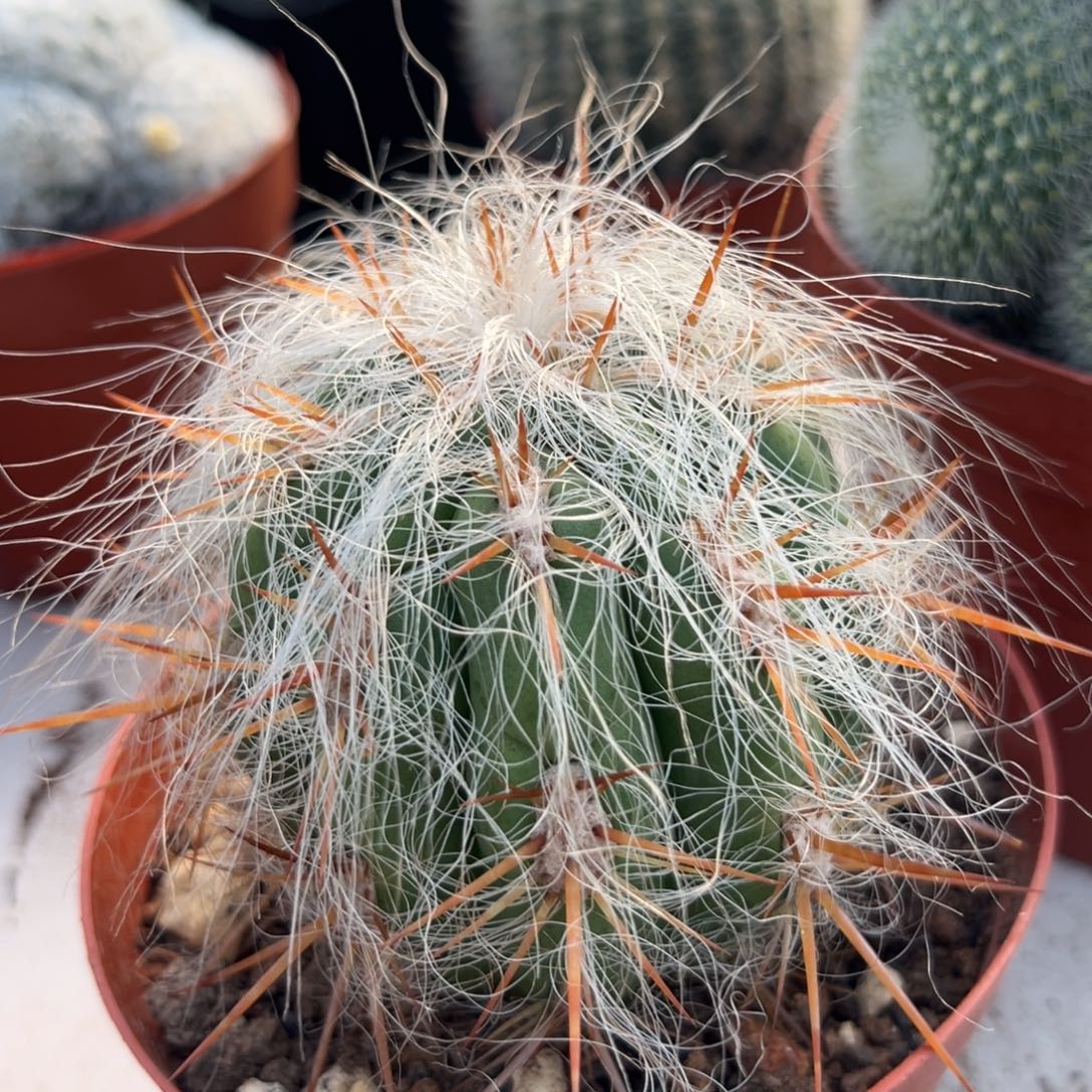 N***D零零落落 零零落落